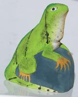 Yeşil iguana