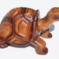 In legno tartaruga