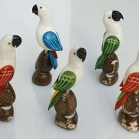 Parrot of tagua