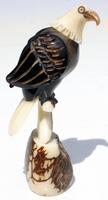 Tagua eagle