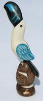 Toucan ptica