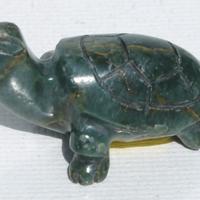 Broască țestoasă mică