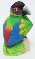 Parrot fugl