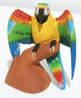 Tropikalny Papuga