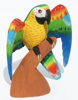 Tropiske Papegøje