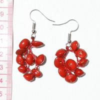 Red seed earrings